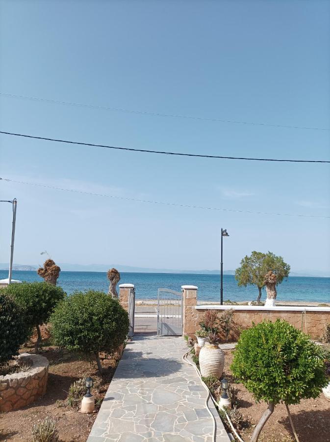 Studios Antoniou Skála 外观 照片